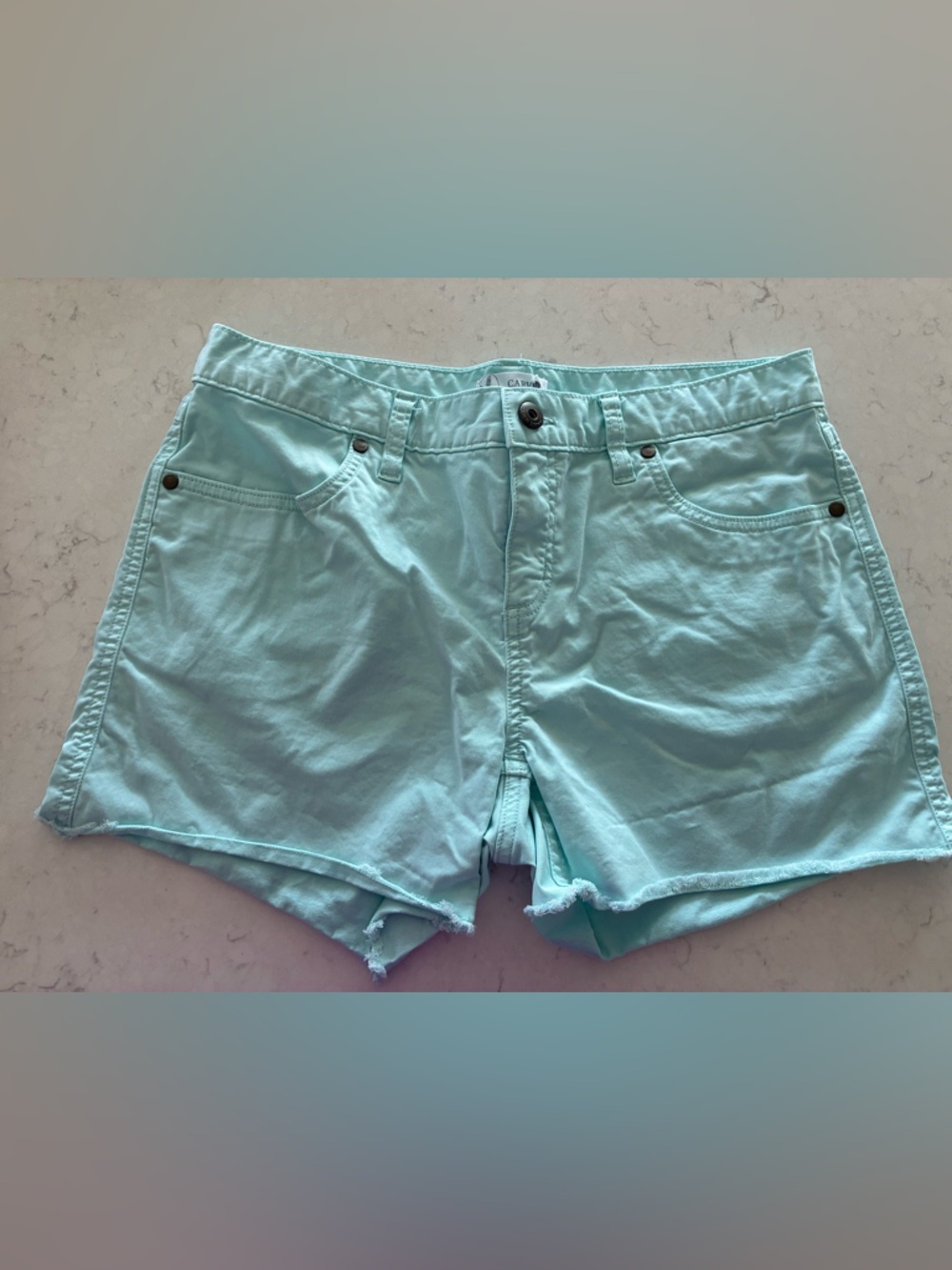 Carve Design Shorts